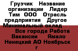 Грузчик › Название организации ­ Лидер Тим, ООО › Отрасль предприятия ­ Другое › Минимальный оклад ­ 16 700 - Все города Работа » Вакансии   . Ямало-Ненецкий АО,Ноябрьск г.